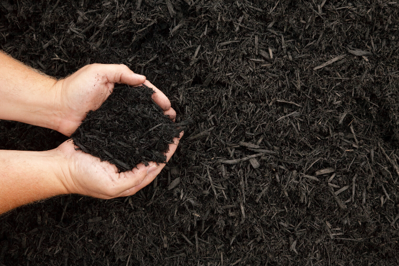 Bulk Mulch delivery available Hands full of fresh mulch